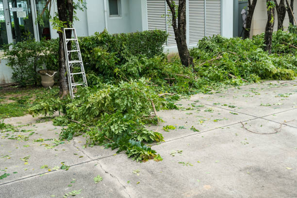 Best Leaf Removal  in Huber Ridge, OH